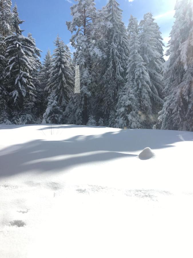 Borovets Chalets Eksteriør bilde