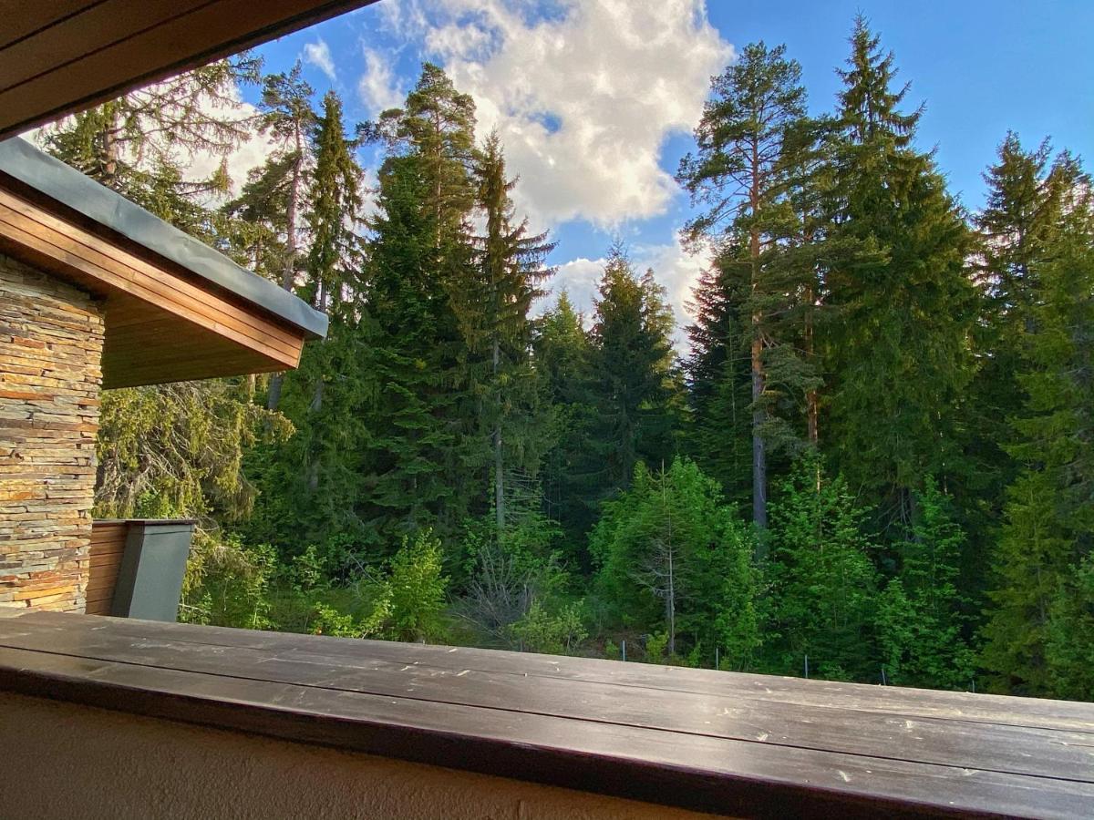 Borovets Chalets Eksteriør bilde